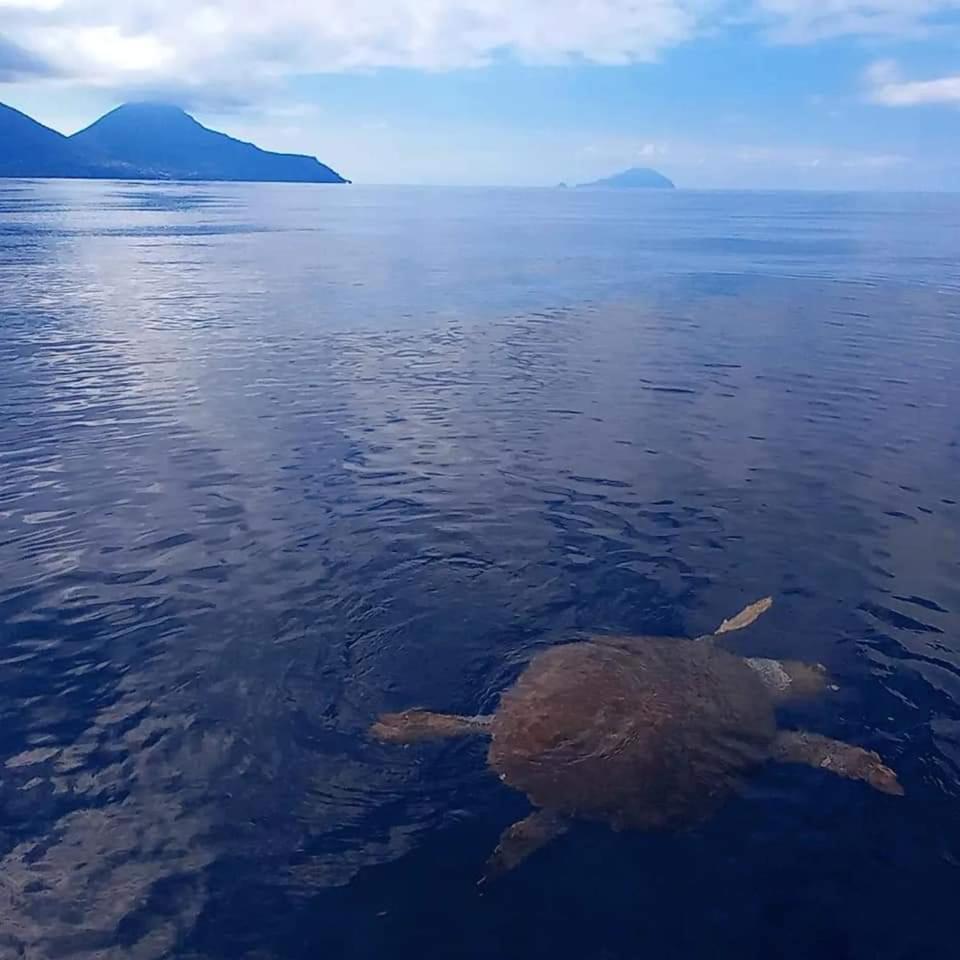 "Appartamento Del Mare Gliaca" Con Vista Isole Eolie,Ampia Terrazza,Wifi E Parcheggio Privato Gratuito Piraino Εξωτερικό φωτογραφία